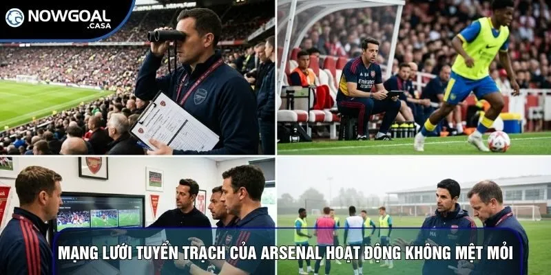 Mạng lưới tuyển trạch của Arsenal hoạt động không mệt mỏi