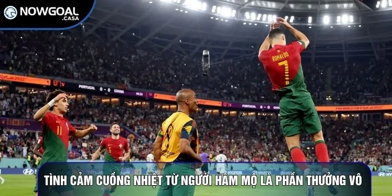 Tình cảm cuồng nhiệt từ người hâm mộ là phần thưởng vô giá